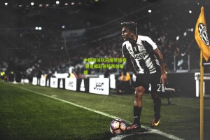 ng体育下载|中国游泳队闪耀世锦赛 新星崛起老将再创辉煌